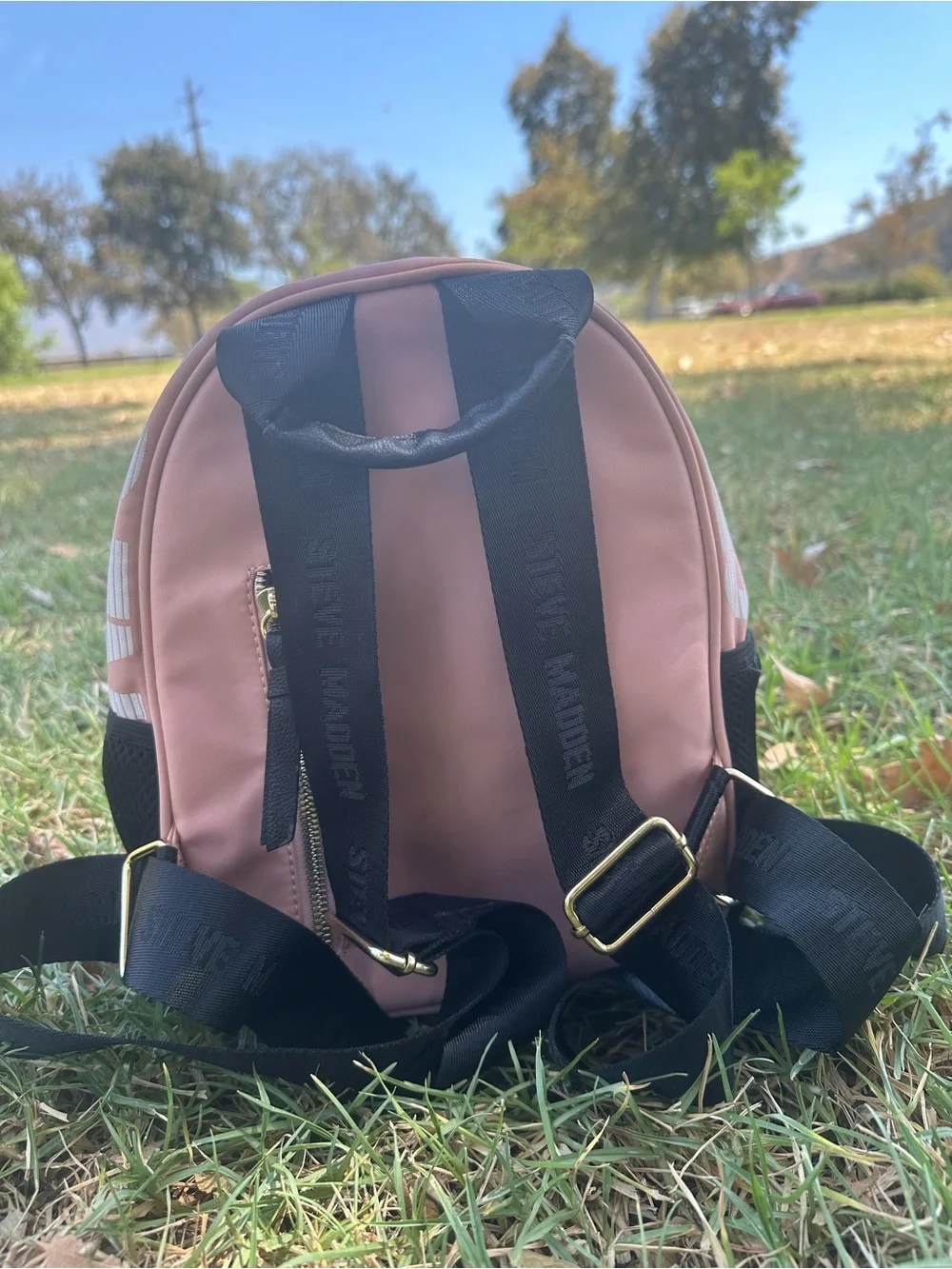 Steve Madden Blush Pink Mini Backpack with Branded Front Pocket